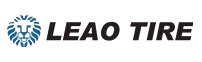 Leao Tire